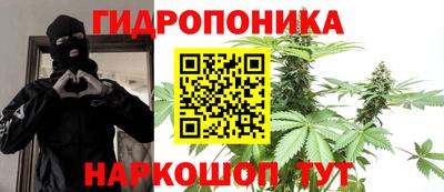 индика Обь
