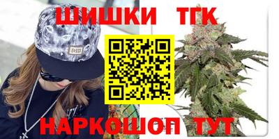 индика Обь