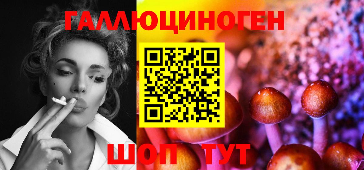 Псилоцибиновые грибы MAGIC MUSHROOMS Алейск