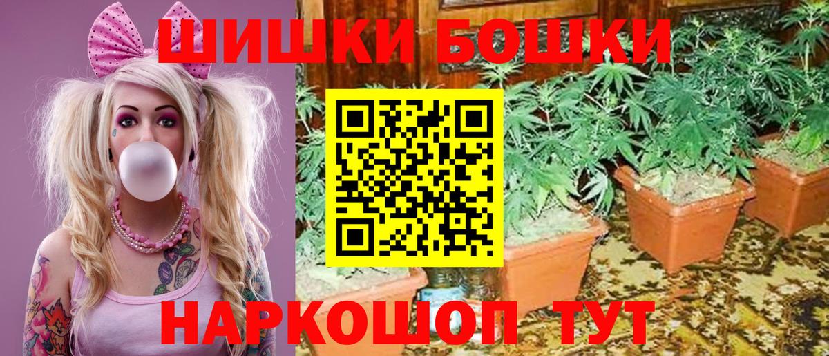 Канабис план Алейск
